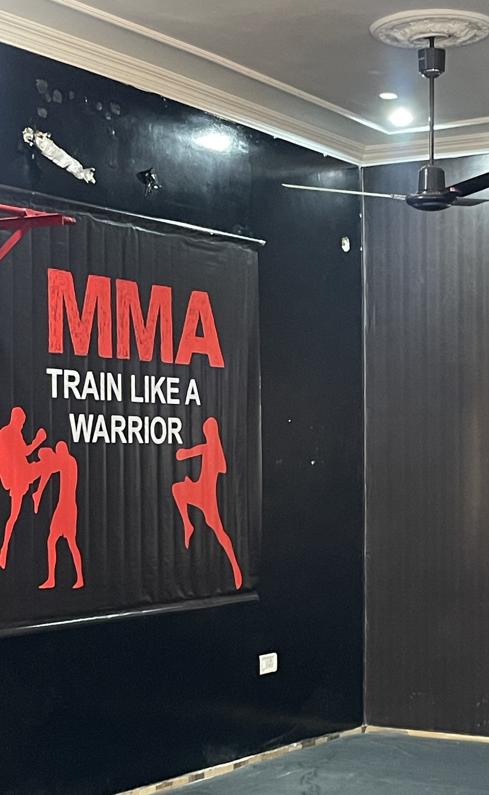 Wushu and Chinese martial arts shield logo on wall